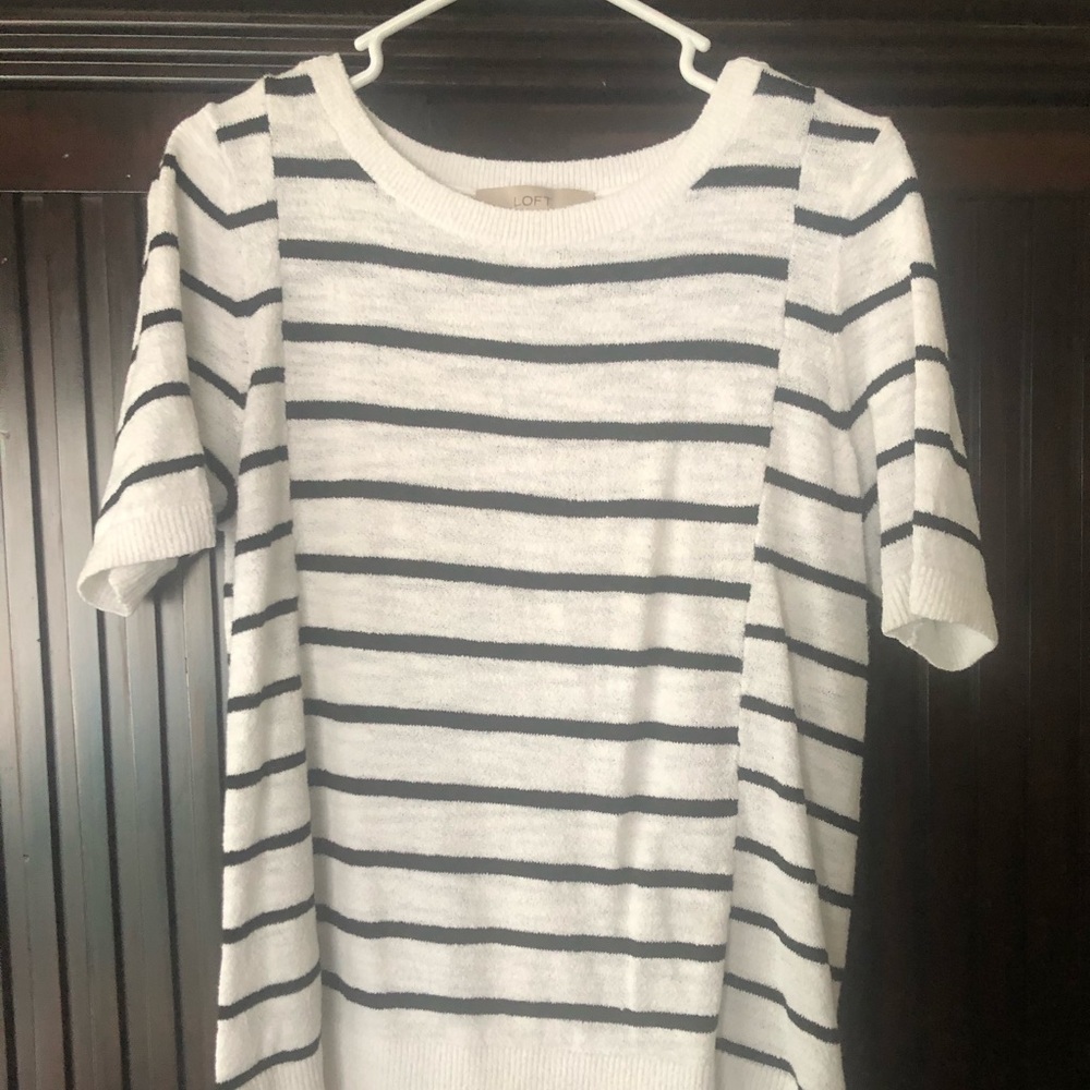 Loft short sleeve sweater